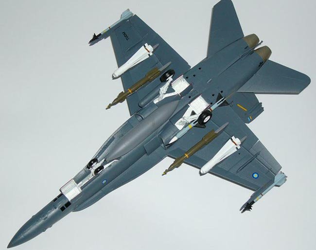 The Royal Malaysian Air Force by Victor Yong